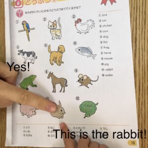 「What's is the number 11？」の質問に「This is the rabbit！」と元気よく答える生徒たち。