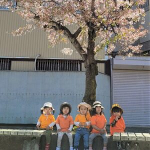 桜の木の下でプリスクールの生徒の集合写真を撮りました。
