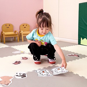 動物のカードを選ぶ生徒